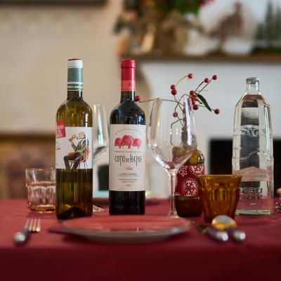 Navidades Abaceria La Familia 9